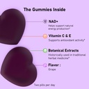 nad-gummies-with-resveratrol-multivitami-6.jpg