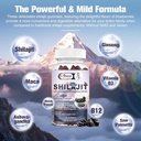 shilajit-gummies-for-men-women-shilajit--3.jpg