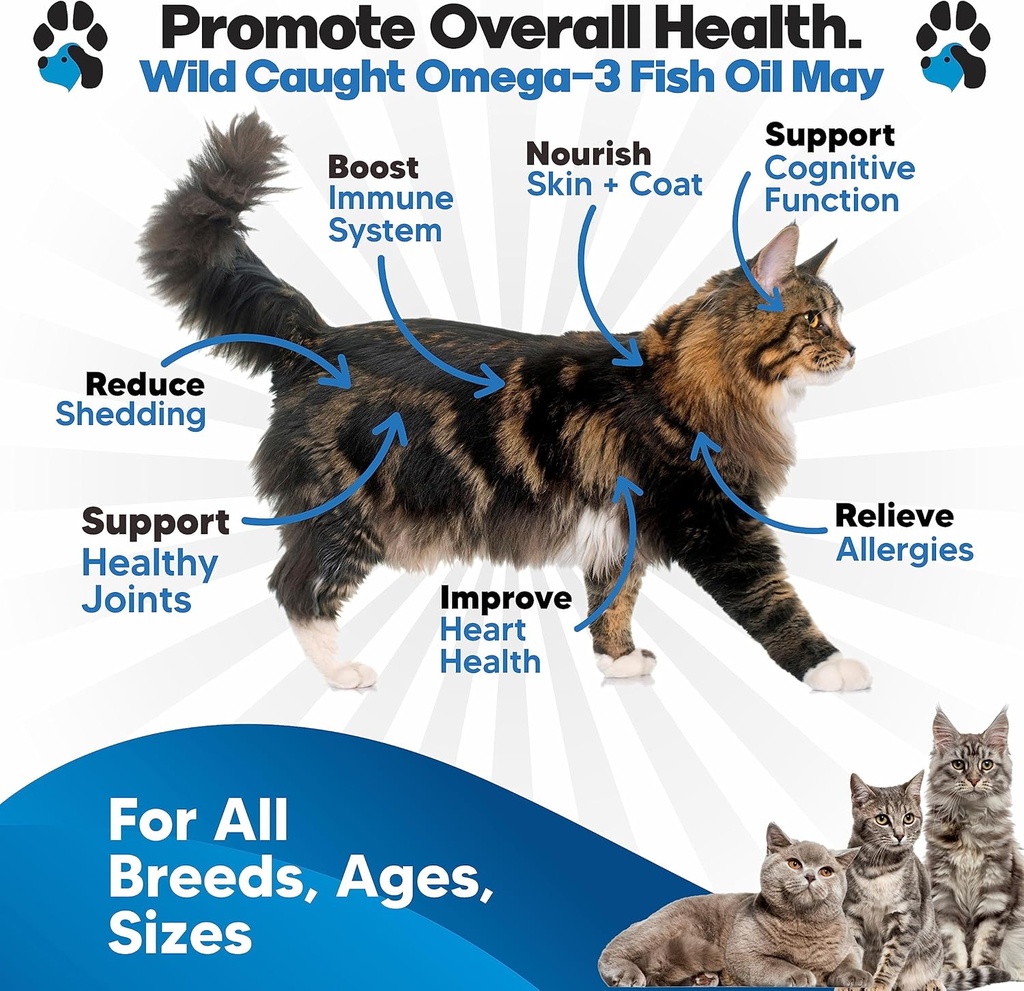 omega-3-fish-oil-for-cats---better-than--2.jpg