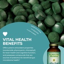 healthforce-superfoods-spirulina-manna---5.jpg