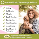 wholistic-pet-organics-probiotic-chews-f-5.jpg