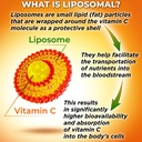 supplements-studio-vegan-immune-energy-w-5.jpg