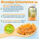 vegan-omega-3-gummies-kids-super-greens--3.jpg