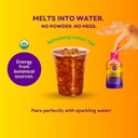 purple-tree-organic-energy-stick-packets-4.jpg
