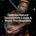 muscletech-thermogenic-testosterone-boos-5.jpg