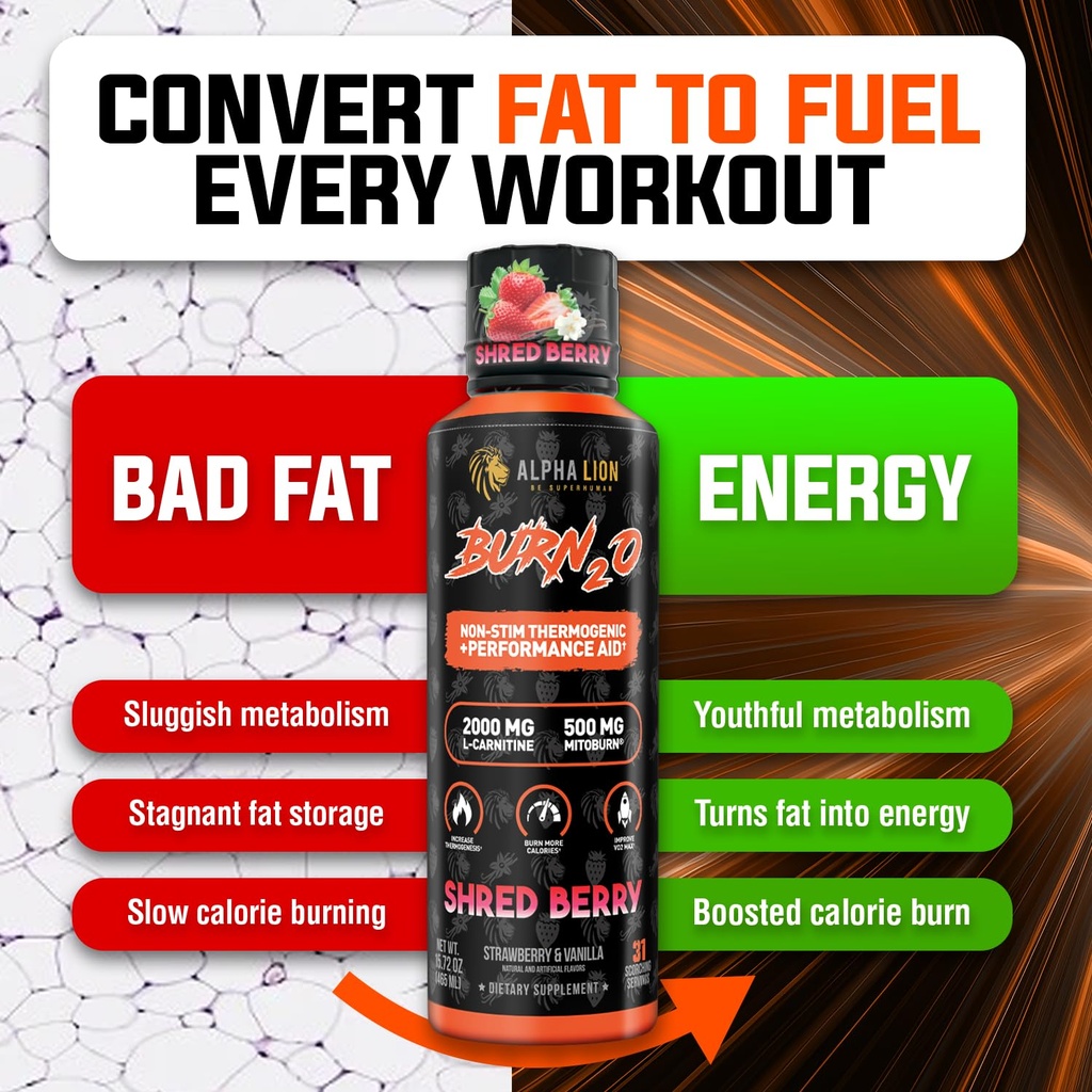 alpha-lion-burn2o-l-carnitine-liquid-200-6.jpg