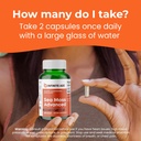 infinite-age-3-pack-of-1250mg-sea-moss-a-6.jpg