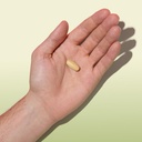 gnc-herbal-plus-milk-thistle-1300mg-extr-4.jpg
