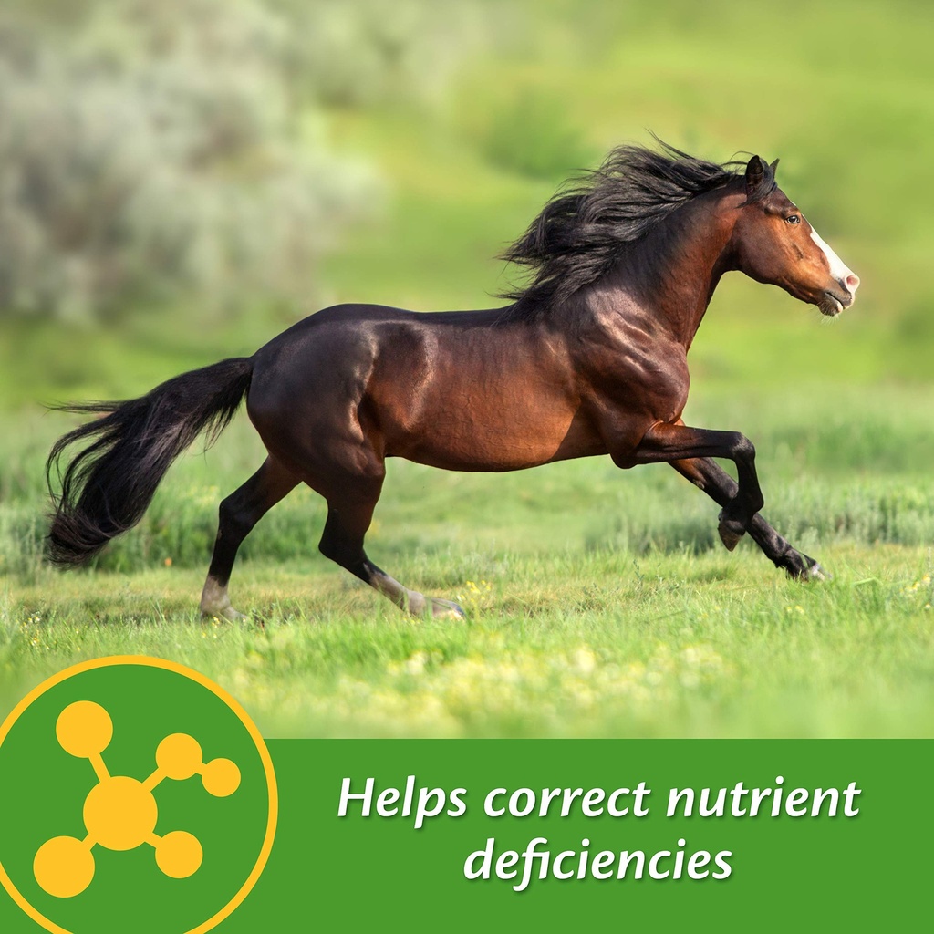 farnam-vita-min-e-selenium-antioxidant-s-2.jpg
