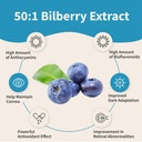 eye-shield-supplement-with-bilberry-extr-6.jpg