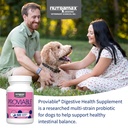 nutramax-proviable-probiotics-for-dogs-d-3.jpg