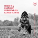 royal-canin-probiotics-for-dogs-digestiv-6.jpg