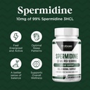 probase-nutrition-spermidine-10mg-of-99--4.jpg