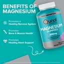 qunol-magnesium-gummies-for-adults-200mg-2.jpg