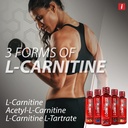 isatori-l-carnitine-ls3-1500-triple-blen-3.jpg