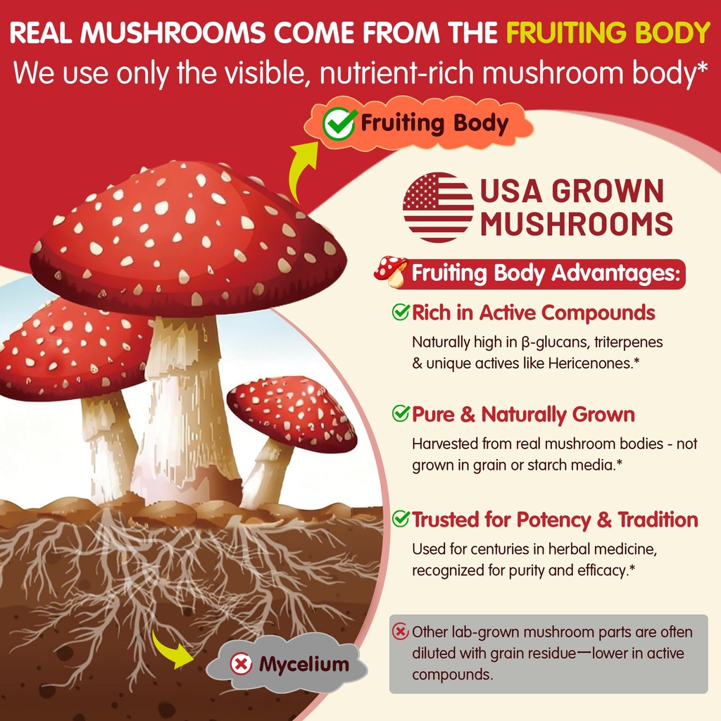 lilicare-bundle-mushroom-lions-mane-saff-5.jpg
