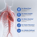 nitric-oxide-supplements-for-men-l-argin-3.jpg