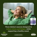 swanson-triple-magnesium-complex-100-cap-2.jpg