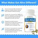 holistic-health-labs-gut-alive-all-natur-3.jpg