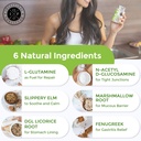 intestinal-fortitude-glr-6-gut-lining-re-4.jpg