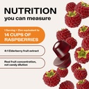vimergy-nutridense-elderberry-zinc-berry-6.jpg