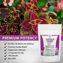 pure-forskolin-extract-supplement-with-p-2.jpg