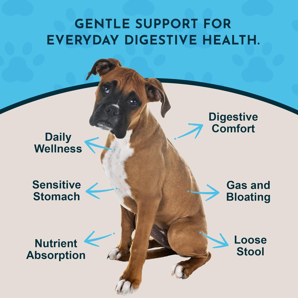 animal-essentials-daily-digestion-1-fl-o-3.jpg