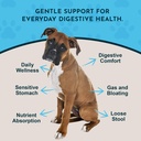 animal-essentials-daily-digestion-1-fl-o-3.jpg