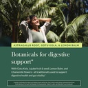 gaia-herbs-gut-revival-herbal-supplement-5.jpg