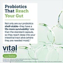 hyperbiotics-vital-nutrients-pro-15-preb-5.jpg