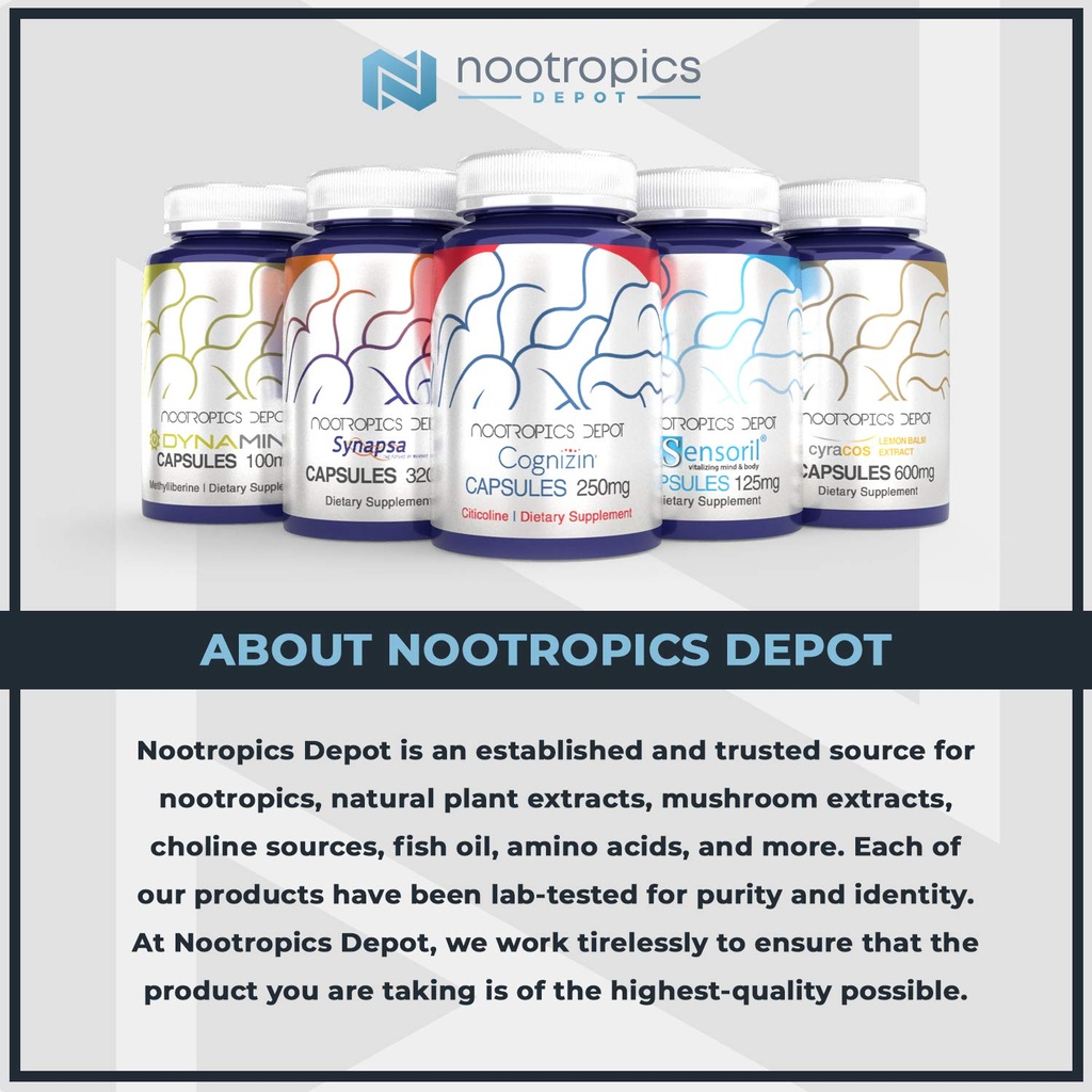 nootropics-depot-palmitoylethanolamide-p-3.jpg
