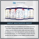 nootropics-depot-palmitoylethanolamide-p-3.jpg