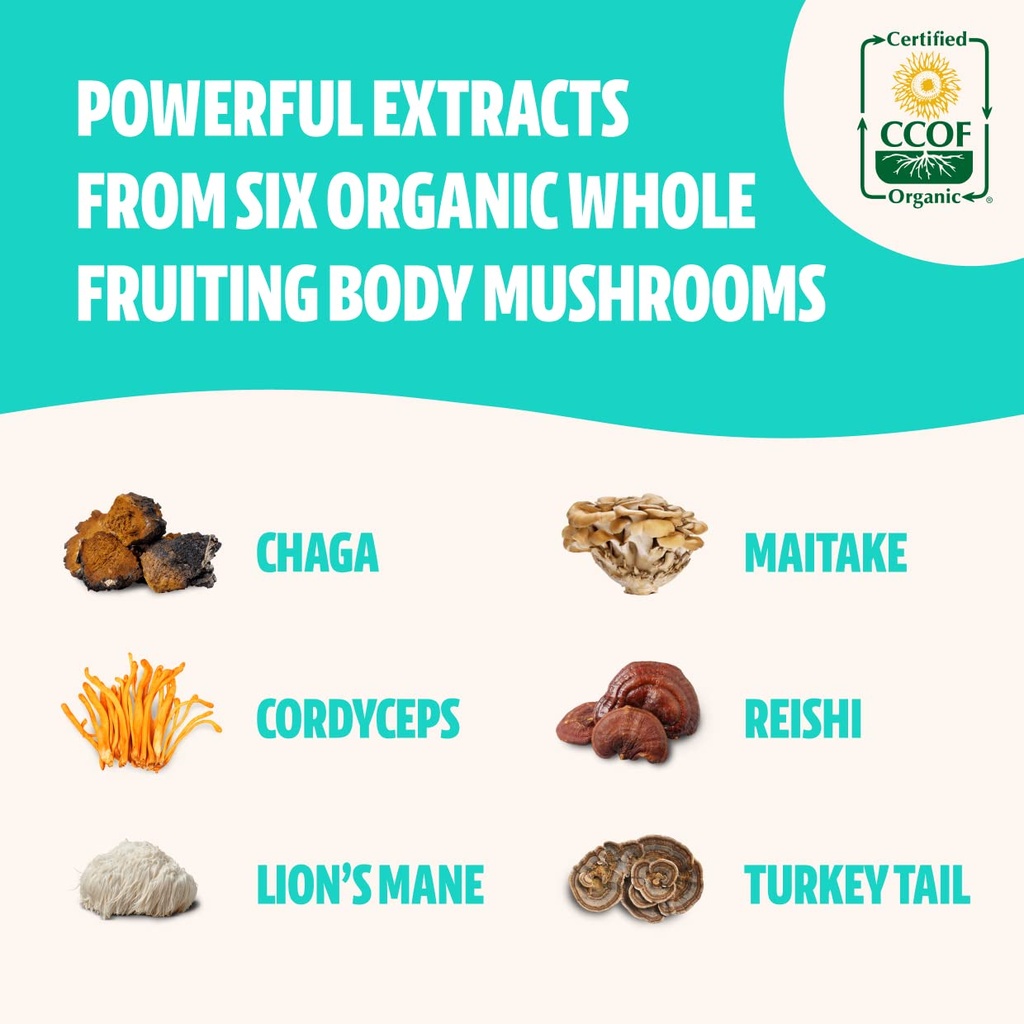 freshcap-mushrooms-antioxidant-bundle-ch-4.jpg