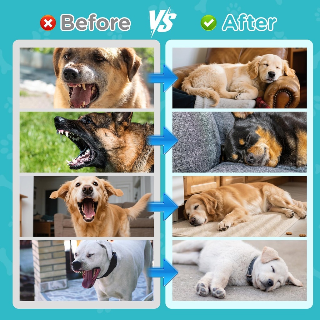 2pack-liquid-melatonin-for-dogs-dog-slee-4.jpg