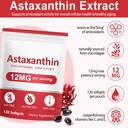 astaxanthin-supplements-12mg-astaxanthin-2.jpg