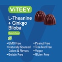 viteey-l-theanine-gummies-with-ginkgo-bi-5.jpg