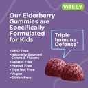 viteey-sambucus-elderberry-gummies-for-k-5.jpg