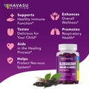 elderberry-gummies-for-kids-with-zinc-an-5.jpg