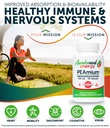 palmitoylethanolamide-450mg-comfort-mobi-2.jpg