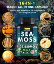 sea-moss-capsule-complex-with-sea-moss-b-3.jpg