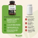 b-leaf-nature-quercetin-phytosome-120-ca-5.jpg