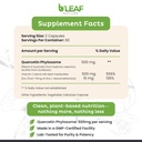 b-leaf-nature-quercetin-phytosome-120-ca-2.jpg