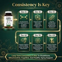 glynac-supplement-complex-large-size-tab-5.jpg