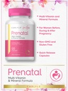 carlyle-prenatal-vitamins-for-women-120--4.jpg