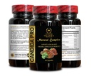 candida-support-capsules-with-nutrient-r-2.jpg
