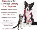 k-plus-gel-for-dogs-cats-potassium-citra-3.jpg