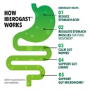 iberogast-liquid-drops-herbal-relief-of--3.jpg