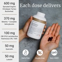 big-bold-health-microbiome-rejuvenate-pr-3.jpg