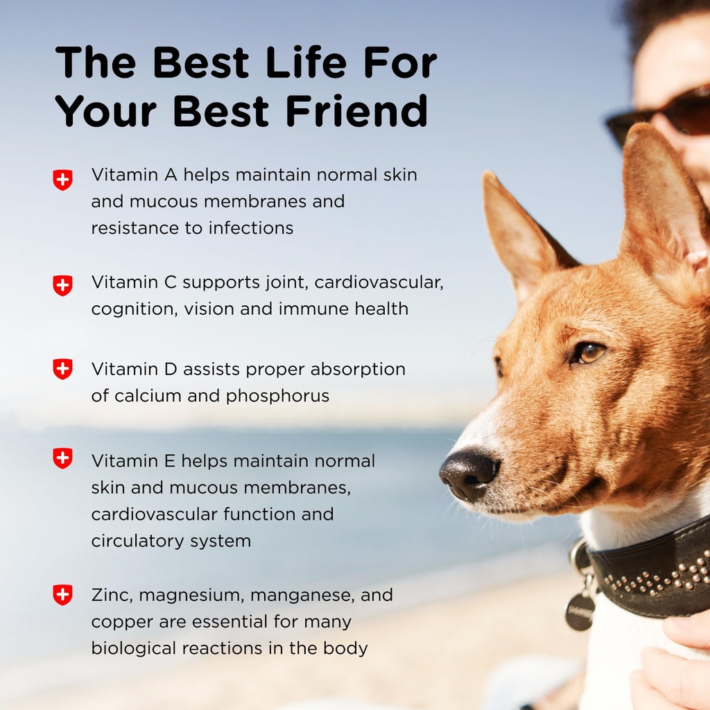 nutri-vet-adult-vite-plus-dog-multivitam-4.jpg