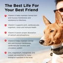 nutri-vet-adult-vite-plus-dog-multivitam-4.jpg
